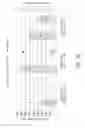 Fig. 08 - Proline auxotrophs