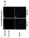 Fig. 06 - Methods of generating oligodendrocytes and cell populations comprising same