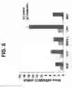 Fig. 08 - Methods of generating oligodendrocytes and cell populations comprising same