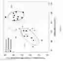 Fig. 08 - Gestational age assessment by methylation and size profiling of maternal plasma DNA