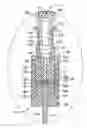 Fig. 01 - Sample extraction and preparation device