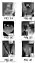 Fig. 07 - Compositions and methods for altering flowering and plant architecture to improve yield potential