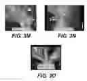 Fig. 09 - Compositions and methods for altering flowering and plant architecture to improve yield potential