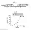 Fig. 08 - SYSTEM FOR STABLE GENE EXPRESSION