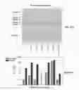 Fig. 41 - Targeted RNA knockdown and knockout by type III-A Csm complexes