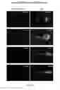 Fig. 64 - Targeted RNA knockdown and knockout by type III-A Csm complexes