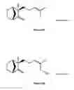 Fig. 06 - Method for producing beta-santalene