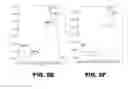 Fig. 09 - COMPOSITIONS AND METHODS OF BIOSYNTHESIZING XANTHOPHYLLS