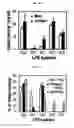 Fig. 07 - Method for producing lysophosphatidylethanolamine 18:1 from microorganism of sp