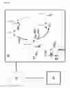 Fig. 02 - L-ornithine production in eukaryotic cells