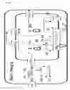 Fig. 10 - L-ornithine production in eukaryotic cells