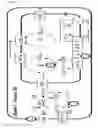 Fig. 11 - L-ornithine production in eukaryotic cells