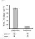 Fig. 24 - L-ornithine production in eukaryotic cells