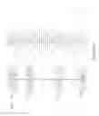 Fig. 21 - Analysis and screening of cell secretion profiles
