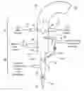 Fig. 01 - Process and reactor for arsenic fixation