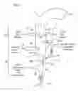 Fig. 02 - Process and reactor for arsenic fixation