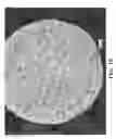 Fig. 11 - Free graphite containing powders