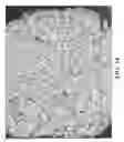Fig. 15 - Free graphite containing powders