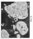Fig. 16 - Free graphite containing powders