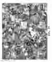 Fig. 20 - Free graphite containing powders