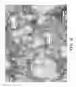Fig. 22 - Free graphite containing powders