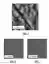 Fig. 03 - Microfluidic device and method using double anodic bonding