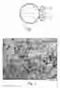 Fig. 02 - PROCESS FOR PREPARING A TUBULAR ARTICLE