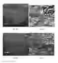 Fig. 12 - METAL DEPOSITS, COMPOSITIONS, AND METHODS FOR MAKING THE SAME