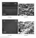 Fig. 13 - METAL DEPOSITS, COMPOSITIONS, AND METHODS FOR MAKING THE SAME