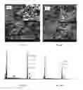 Fig. 19 - METAL DEPOSITS, COMPOSITIONS, AND METHODS FOR MAKING THE SAME