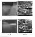 Fig. 23 - METAL DEPOSITS, COMPOSITIONS, AND METHODS FOR MAKING THE SAME