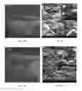 Fig. 24 - METAL DEPOSITS, COMPOSITIONS, AND METHODS FOR MAKING THE SAME
