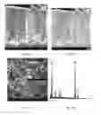 Fig. 28 - METAL DEPOSITS, COMPOSITIONS, AND METHODS FOR MAKING THE SAME