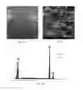 Fig. 30 - METAL DEPOSITS, COMPOSITIONS, AND METHODS FOR MAKING THE SAME