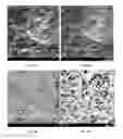 Fig. 31 - METAL DEPOSITS, COMPOSITIONS, AND METHODS FOR MAKING THE SAME