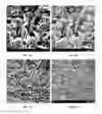 Fig. 32 - METAL DEPOSITS, COMPOSITIONS, AND METHODS FOR MAKING THE SAME