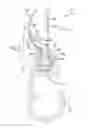 Fig. 05 - Attachment member for an architectural covering