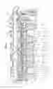 Fig. 03 - Internal combustion engine having at least one crankcase of the dry-sump type