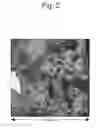 Fig. 03 - Exhaust gas purification catalyst