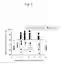 Fig. 10 - Exhaust gas purification catalyst
