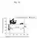 Fig. 13 - Exhaust gas purification catalyst