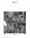 Fig. 03 - Exhaust gas purification catalyst