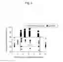 Fig. 10 - Exhaust gas purification catalyst