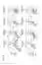 Fig. 09 - COMPRESSION RATIO ADJUSTMENT APPARATUS FOR INTERNAL COMBUSTION ENGINE
