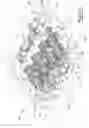 Fig. 06 - Oil cooled internal combustion engine cylinder liner and method of use
