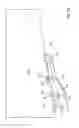 Fig. 06 - Apparatus and methods to deploy a fluid flow channel