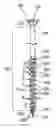 Fig. 01 - Screw having discontinuous scraping edges