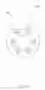 Fig. 14 - BULB AND BULB HOLDER ADAPTER KIT