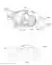 Fig. 02 - Aspherical lens module for a headlamp
