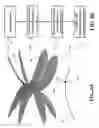 Fig. 12 - Freeform optical surface for producing sharp-edged irradiance patterns